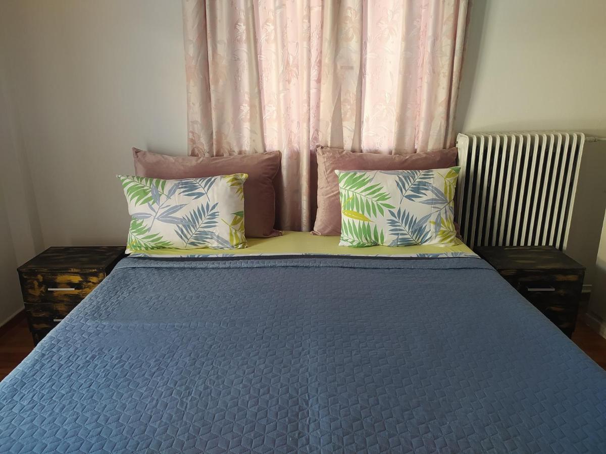 Helen'S Downtown Apartment Ioannina Ngoại thất bức ảnh